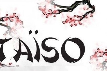 Cours de Taïso