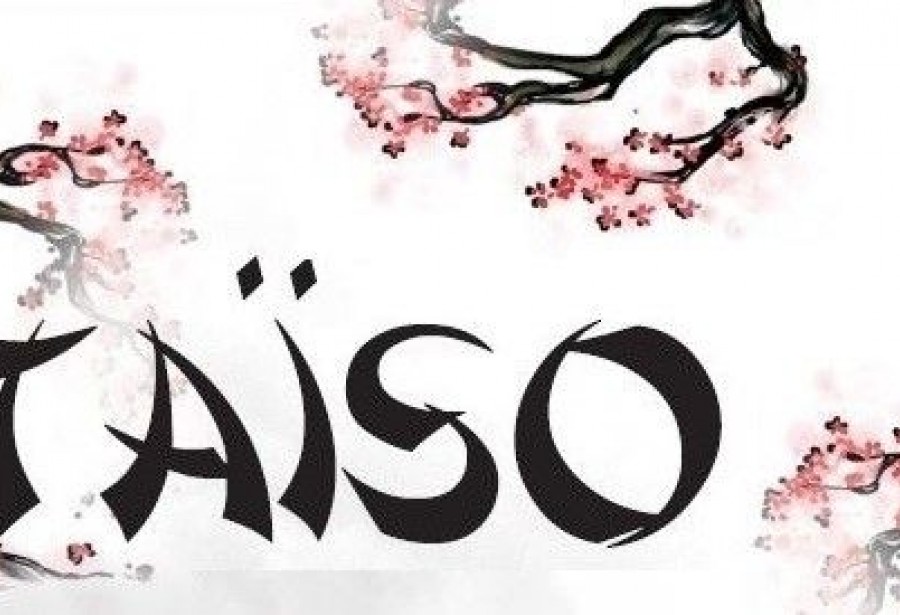 Cours de Taïso